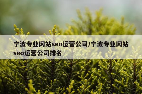 宁波专业网站seo运营公司/宁波专业网站seo运营公司排名