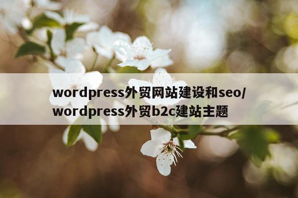 wordpress外贸网站建设和seo/wordpress外贸b2c建站主题