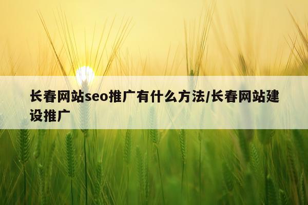 长春网站seo推广有什么方法/长春网站建设推广