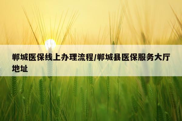 郸城医保线上办理流程/郸城县医保服务大厅地址