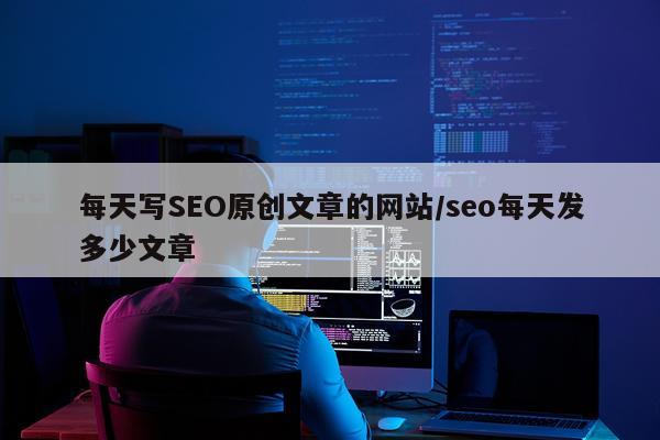 每天写SEO原创文章的网站/seo每天发多少文章