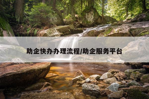 助企快办办理流程/助企服务平台