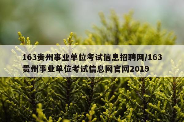 163贵州事业单位考试信息招聘网/163贵州事业单位考试信息网官网2019