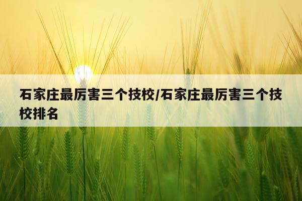 石家庄最厉害三个技校/石家庄最厉害三个技校排名