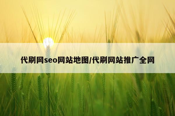 代刷网seo网站地图/代刷网站推广全网