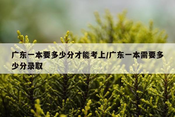 广东一本要多少分才能考上/广东一本需要多少分录取