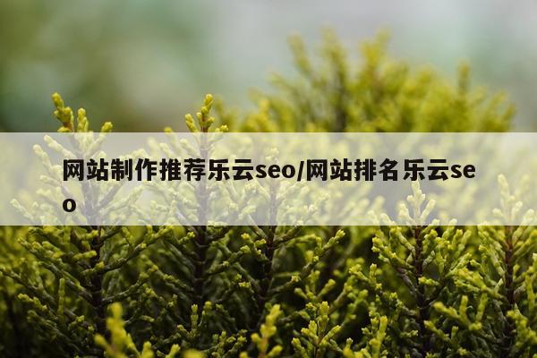 网站制作推荐乐云seo/网站排名乐云seo