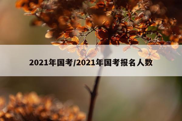 2021年国考/2021年国考报名人数
