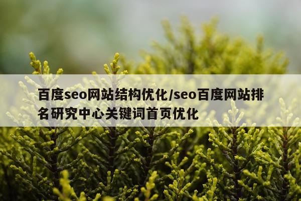百度seo网站结构优化/seo百度网站排名研究中心关键词首页优化