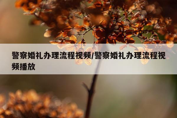 警察婚礼办理流程视频/警察婚礼办理流程视频播放