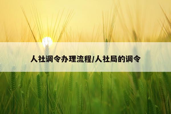 人社调令办理流程/人社局的调令