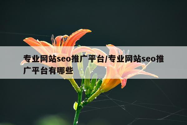 专业网站seo推广平台/专业网站seo推广平台有哪些