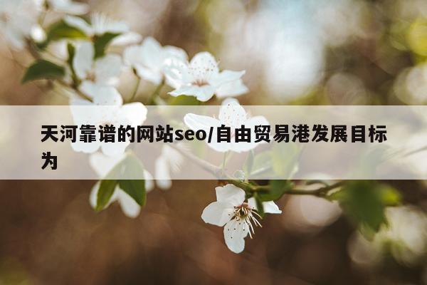 天河靠谱的网站seo/自由贸易港发展目标为