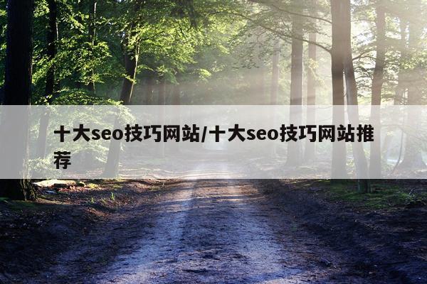 十大seo技巧网站/十大seo技巧网站推荐