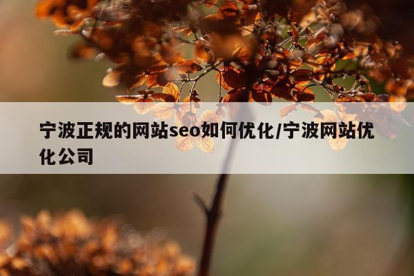 宁波正规的网站seo如何优化/宁波网站优化公司