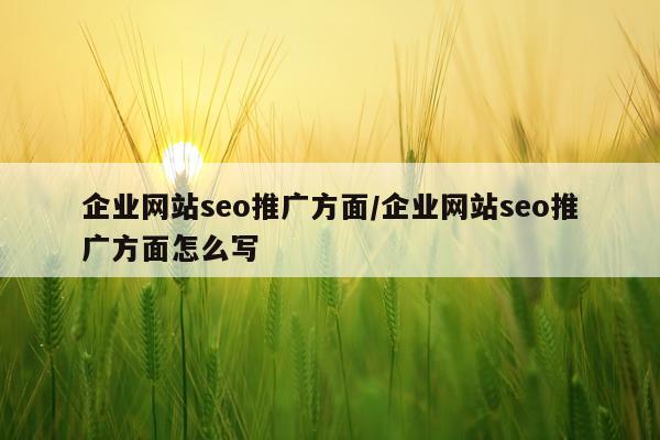 企业网站seo推广方面/企业网站seo推广方面怎么写