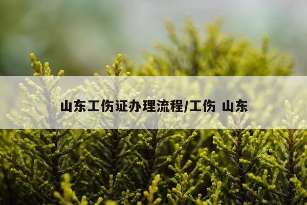 山东工伤证办理流程/工伤 山东