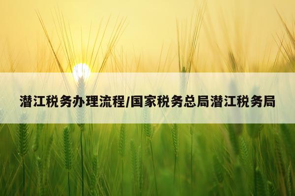 潜江税务办理流程/国家税务总局潜江税务局