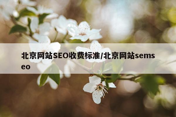 北京网站SEO收费标准/北京网站semseo