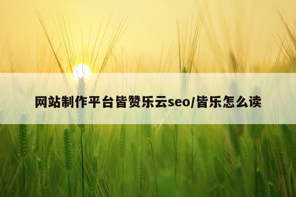 网站制作平台皆赞乐云seo/皆乐怎么读