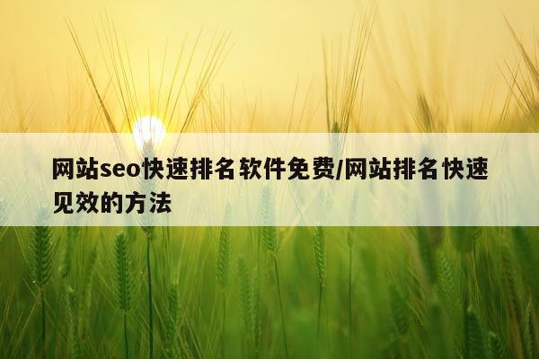 网站seo快速排名软件免费/网站排名快速见效的方法