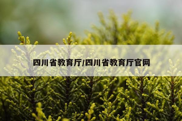 四川省教育厅/四川省教育厅官网