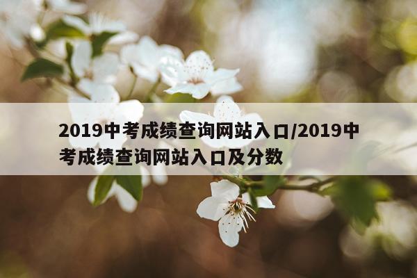2019中考成绩查询网站入口/2019中考成绩查询网站入口及分数