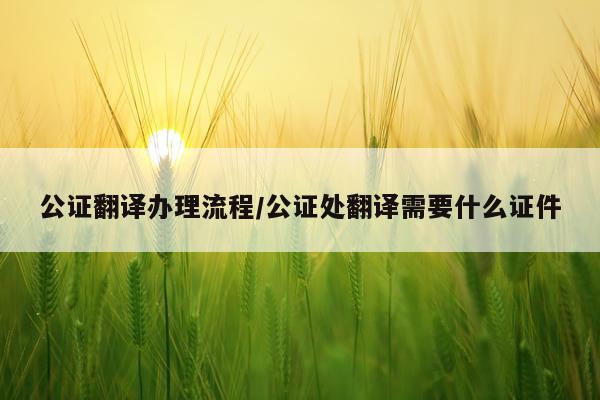 公证翻译办理流程/公证处翻译需要什么证件