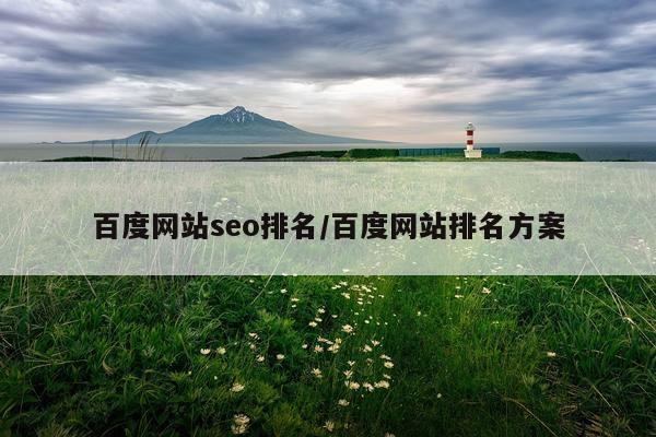 百度网站seo排名/百度网站排名方案
