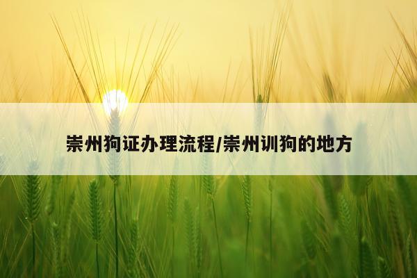 崇州狗证办理流程/崇州训狗的地方