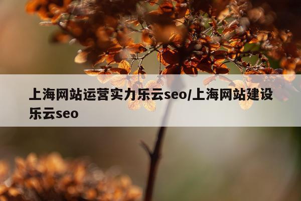 上海网站运营实力乐云seo/上海网站建设乐云seo