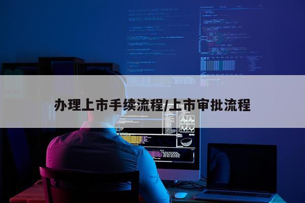 办理上市手续流程/上市审批流程