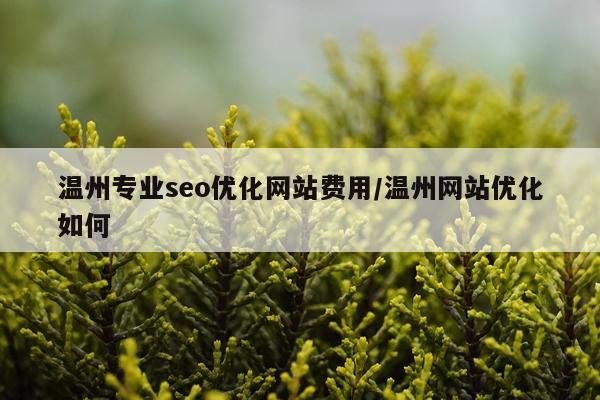 温州专业seo优化网站费用/温州网站优化如何