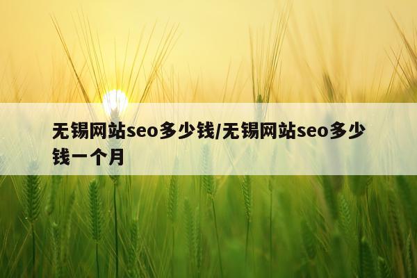 无锡网站seo多少钱/无锡网站seo多少钱一个月