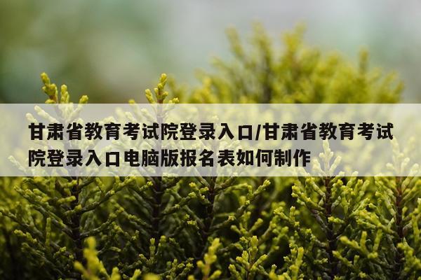 甘肃省教育考试院登录入口/甘肃省教育考试院登录入口电脑版报名表如何制作