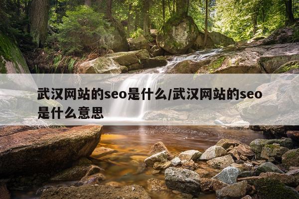 武汉网站的seo是什么/武汉网站的seo是什么意思