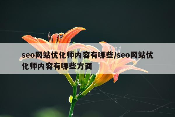 seo网站优化师内容有哪些/seo网站优化师内容有哪些方面