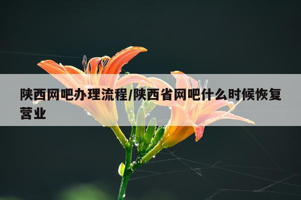 陕西网吧办理流程/陕西省网吧什么时候恢复营业