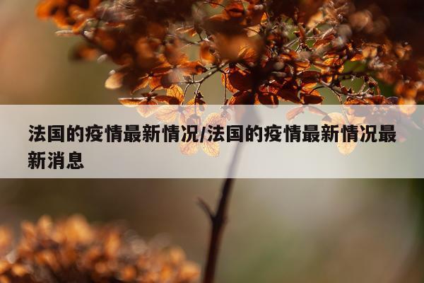 法国的疫情最新情况/法国的疫情最新情况最新消息