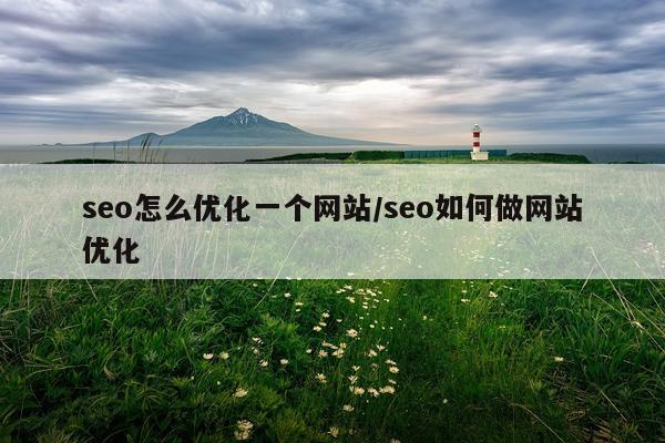 seo怎么优化一个网站/seo如何做网站优化