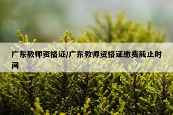 广东教师资格证/广东教师资格证缴费截止时间