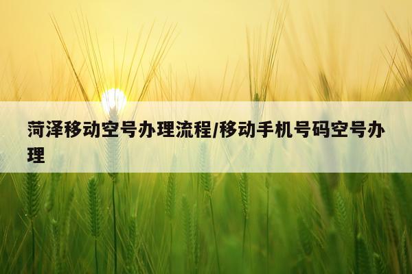 菏泽移动空号办理流程/移动手机号码空号办理