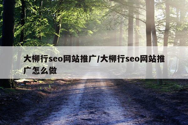 大柳行seo网站推广/大柳行seo网站推广怎么做