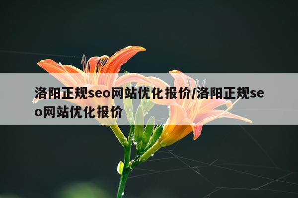 洛阳正规seo网站优化报价/洛阳正规seo网站优化报价