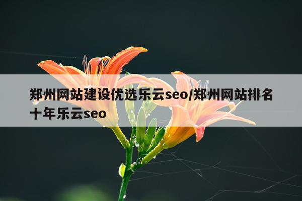 郑州网站建设优选乐云seo/郑州网站排名十年乐云seo