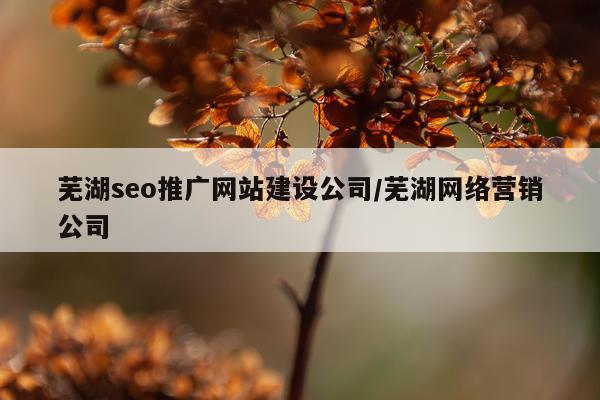 芜湖seo推广网站建设公司/芜湖网络营销公司