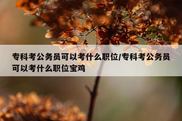 专科考公务员可以考什么职位/专科考公务员可以考什么职位宝鸡