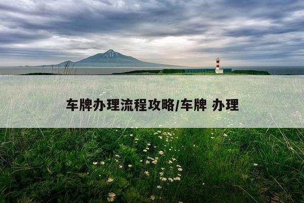 车牌办理流程攻略/车牌 办理