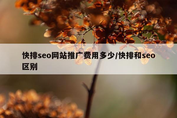 快排seo网站推广费用多少/快排和seo区别