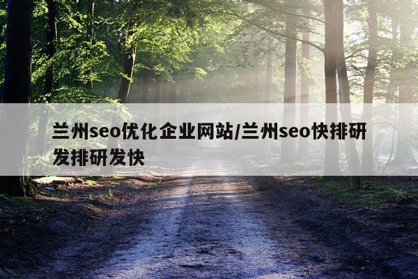 兰州seo优化企业网站/兰州seo快排研发排研发快